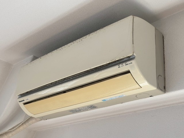 アスプロパラティⅡ