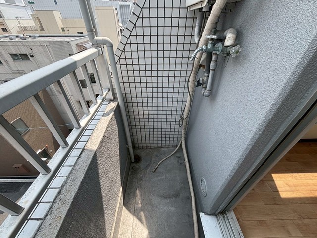 アスプロパラティⅡ