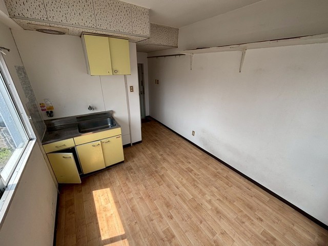 アスプロパラティⅡ