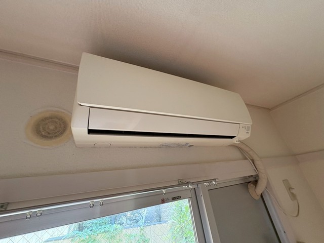 M’s lea Ushitahigashi