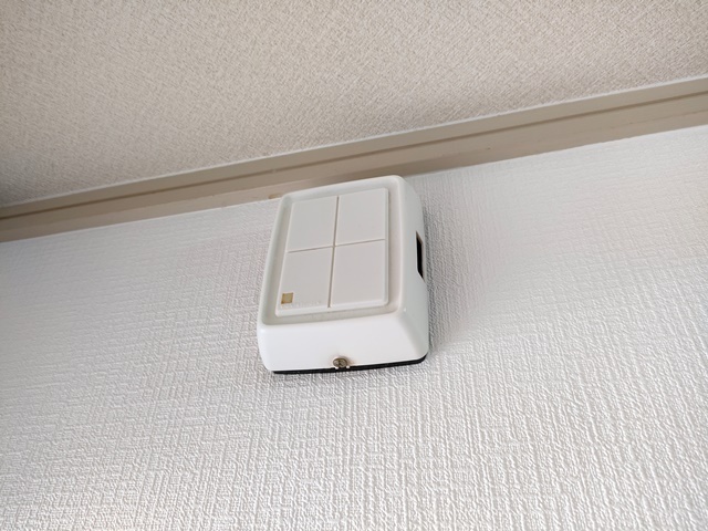 M’s lea Ushitahigashi