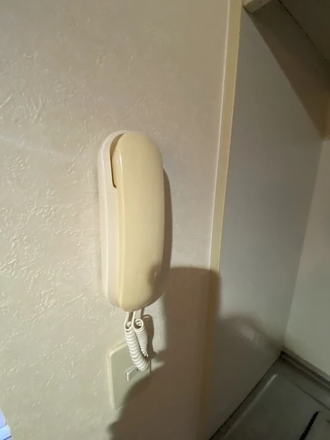 ピア サテライト