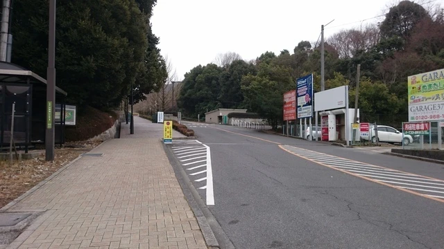 ピア サテライト