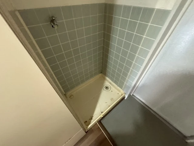 M’s lea Kougominami