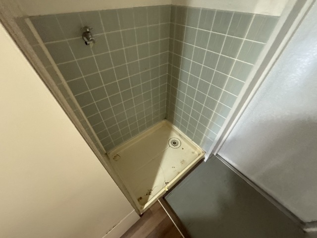 M’s lea Kougominami