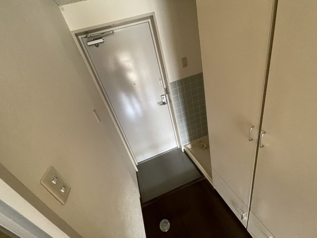 M’s lea Kougominami