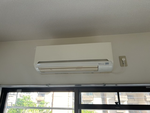 M’s lea Kougominami