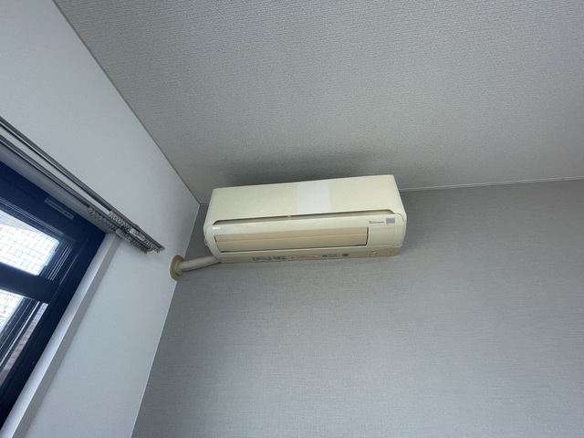 M’s lea Kougominami