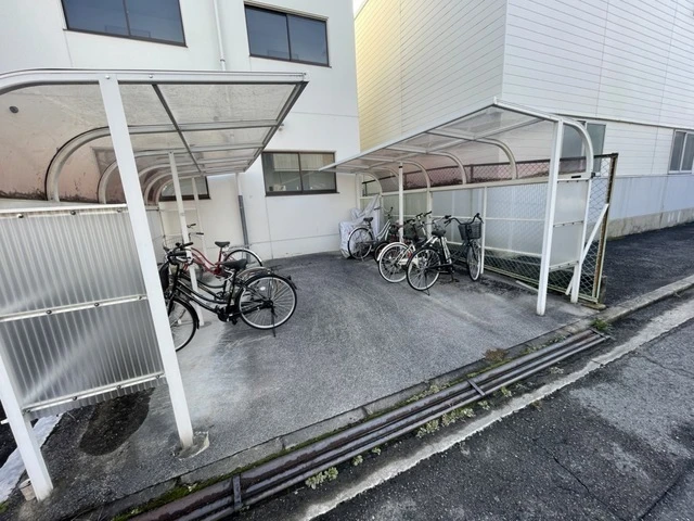 M’s lea Kougominami