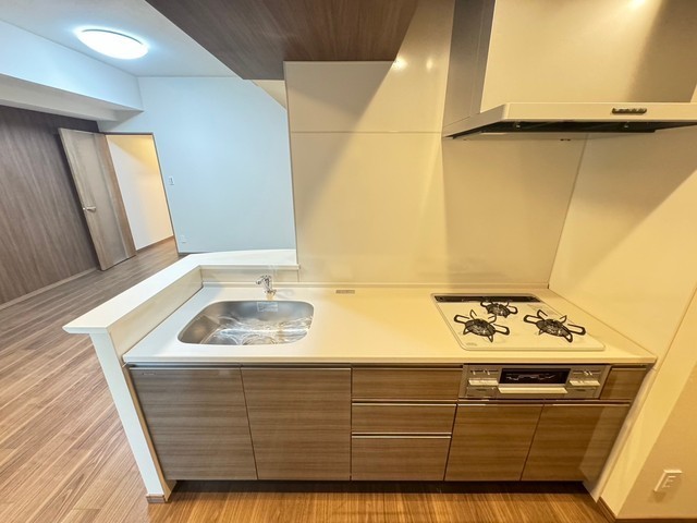 ザ・マジェスティー白島九軒町