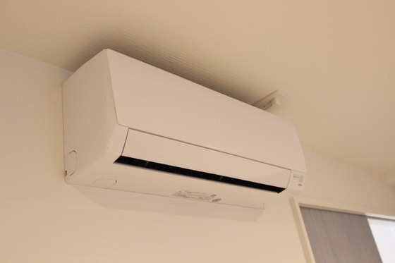 K39パウリスタ戸坂