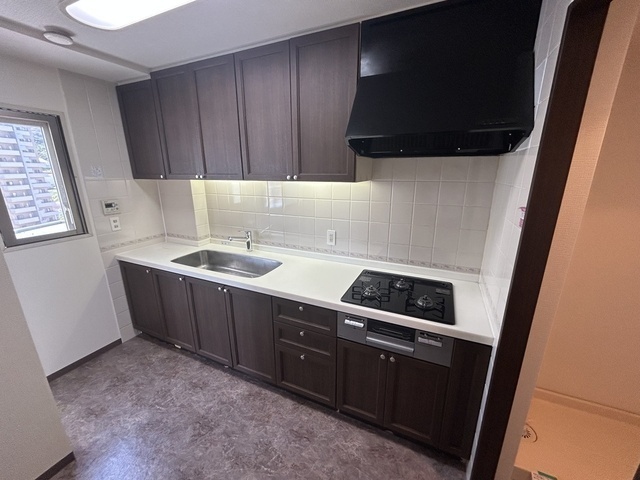 ヒルズステージⅠ番館(807)