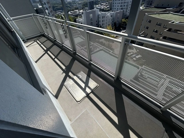 ヒルズステージⅠ番館(807)