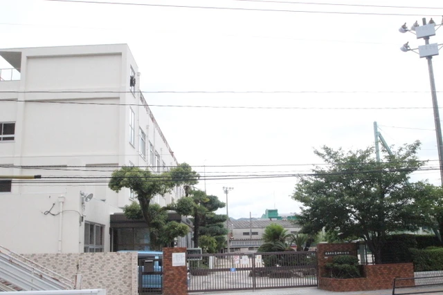 エイトバレー50