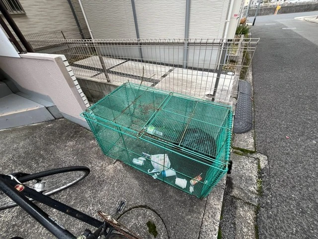 サンライズ楽々園