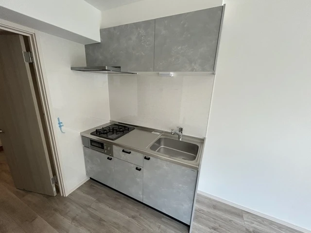 Tメゾン五日市駅前