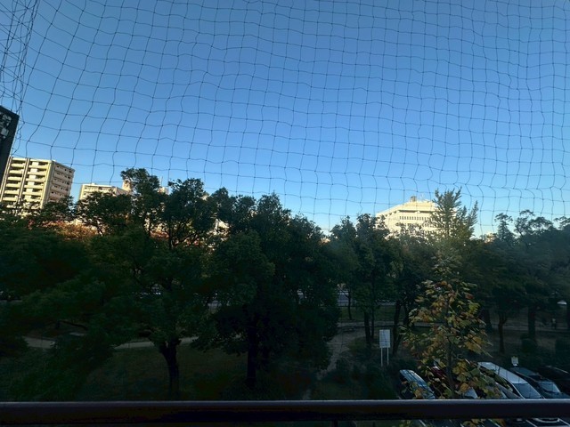 ドリームコーポ平和苑(402)