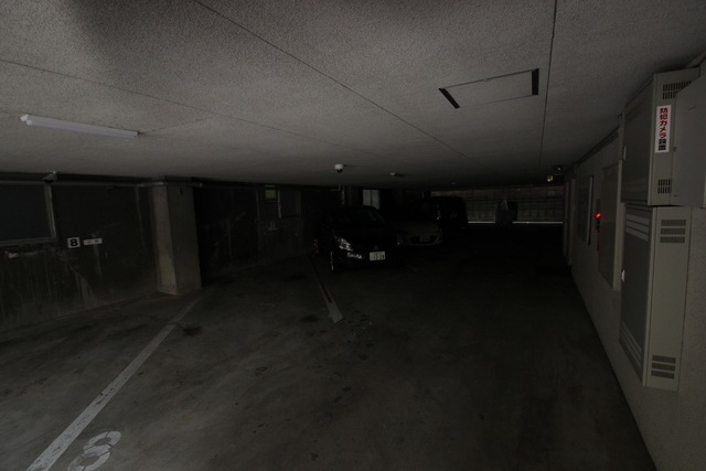 ドリームコーポ平和苑(402)