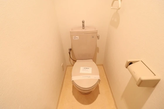 グラビスコート十日市