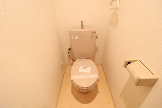 グラビスコート十日市