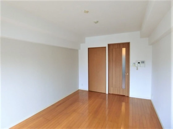 グラビスコート十日市