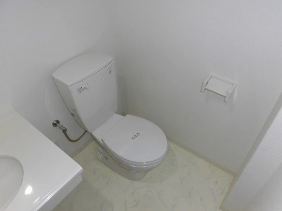 グラビスコート十日市