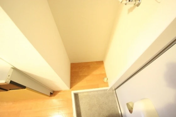 エストレビータ