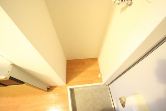 エストレビータ