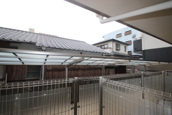 エストレビータ