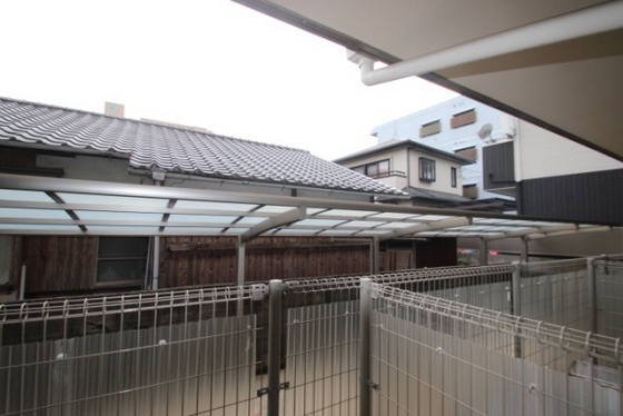 エストレビータ