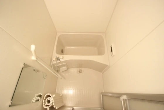 エストレビータ