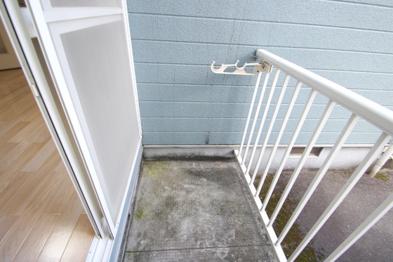 パディフィールド