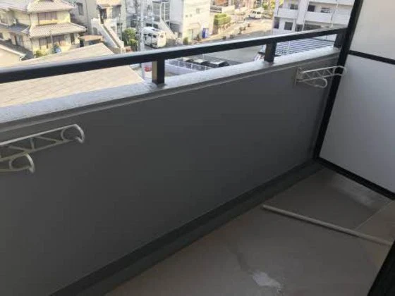 シェソワホリオ