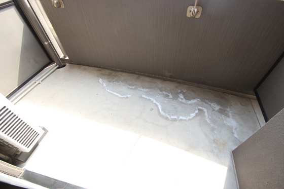 ルナパール大宮