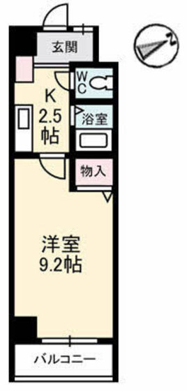 エスペランサNSコート