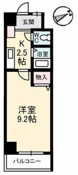 エスペランサNSコート