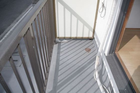 ホワイトハイム