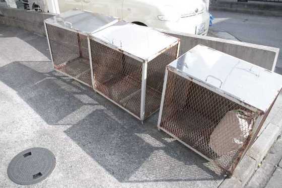 ホワイトハイム