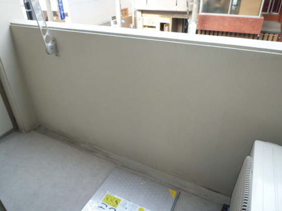 プレシャス・コーホー