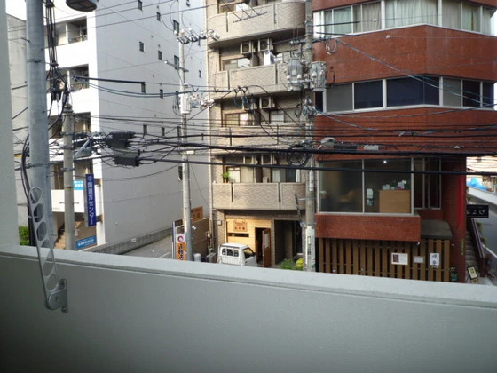 プレシャス・コーホー