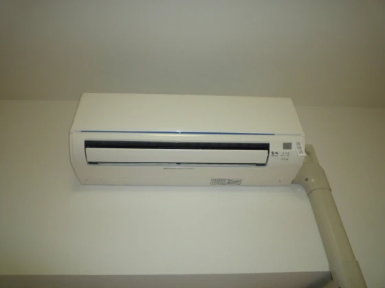 プレシャス・コーホー