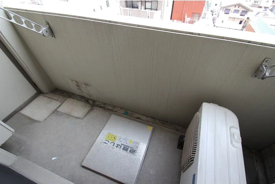 プレシャス・コーホー