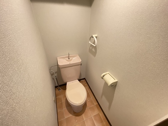 ハーシオンフルタⅡ