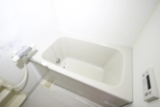 ロアール並木通り