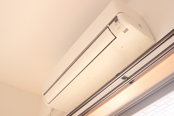 ロアール並木通り