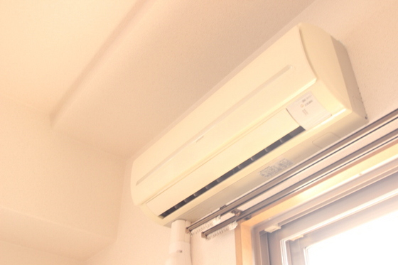 ロアール東白島