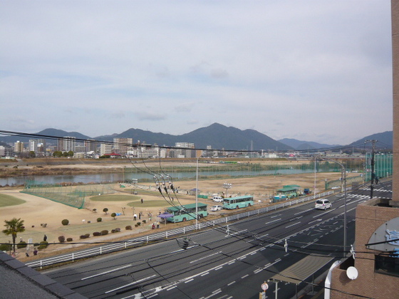 アプリコットガーデン