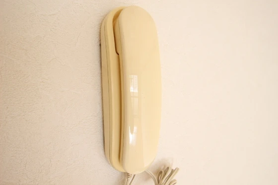 コスモハイツシバタⅡ