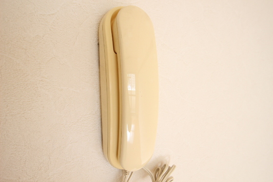 コスモハイツシバタⅡ