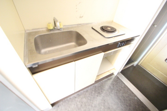 コスモハイツシバタⅡ